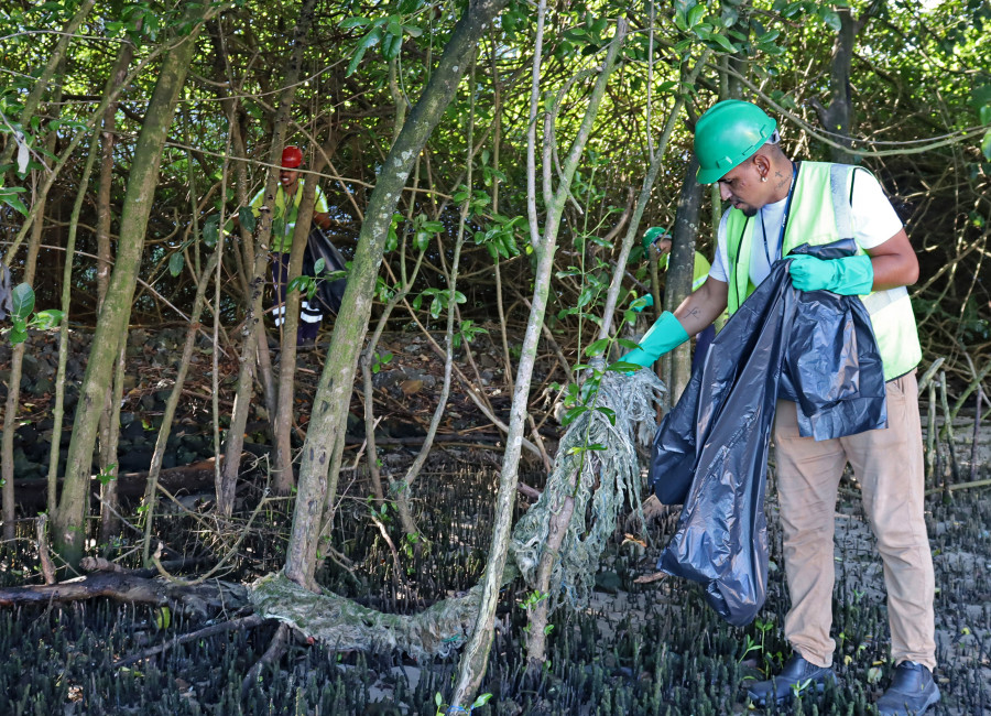 TESC promove uma ação de limpeza nas margens do Rio Pedreira