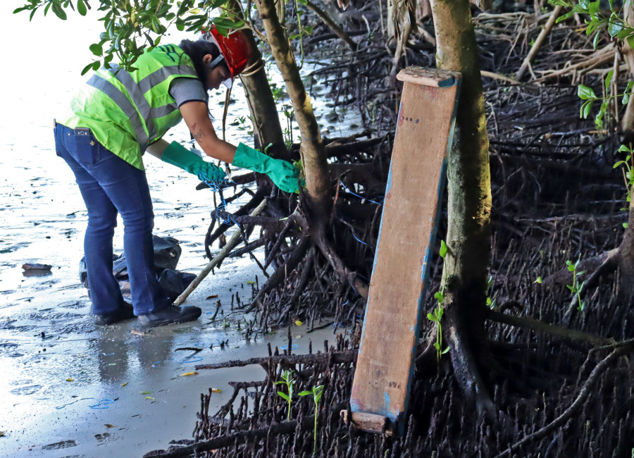 TESC promove uma ação de limpeza nas margens do Rio Pedreira